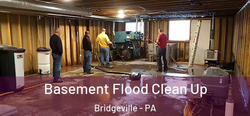  Basement Flood Clean Up Bridgeville - PA