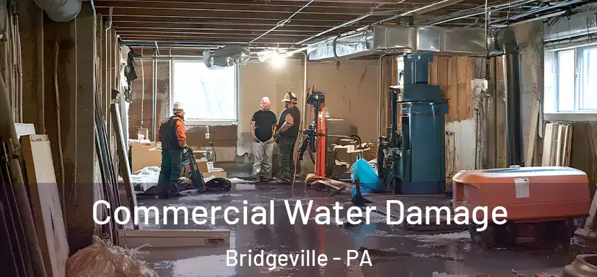 Commercial Water Damage Bridgeville - PA