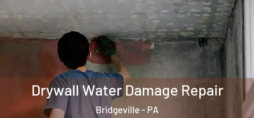  Drywall Water Damage Repair Bridgeville - PA