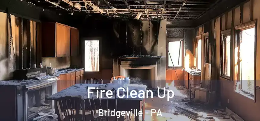 Fire Clean Up Bridgeville - PA