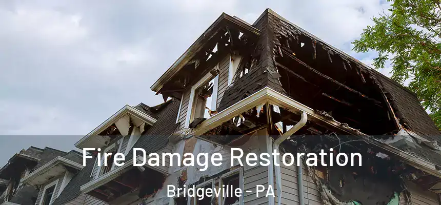  Fire Damage Restoration Bridgeville - PA