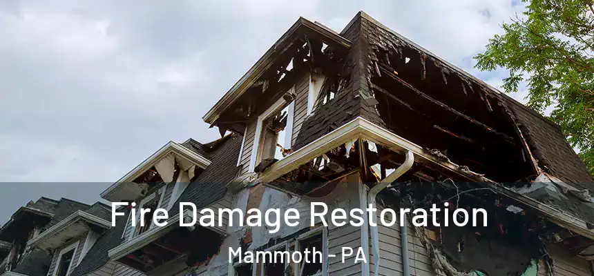 Fire Damage Restoration Mammoth - PA