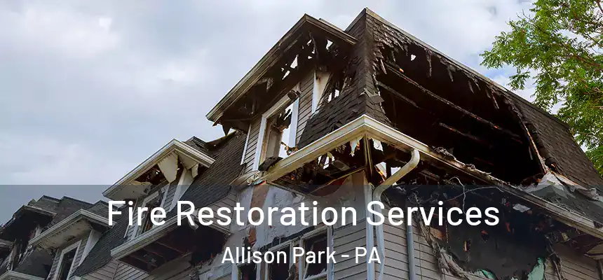  Fire Restoration Services Allison Park - PA