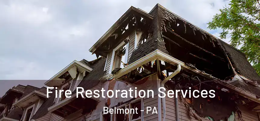  Fire Restoration Services Belmont - PA