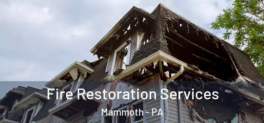  Fire Restoration Services Mammoth - PA