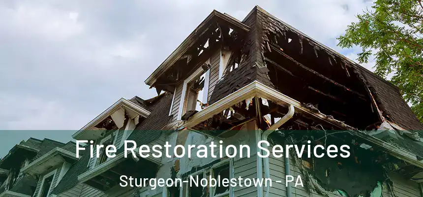 Fire Restoration Services Sturgeon-Noblestown - PA