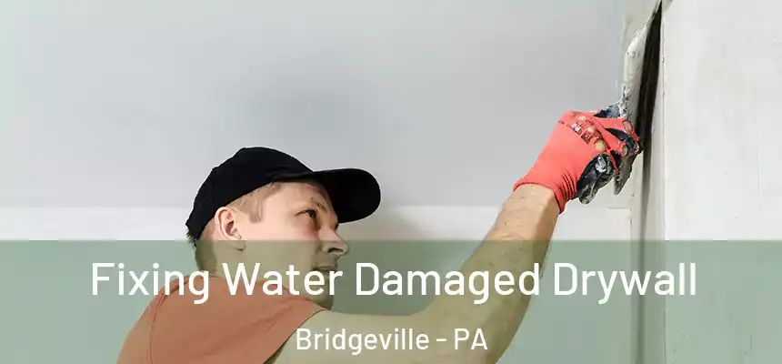 Fixing Water Damaged Drywall Bridgeville - PA