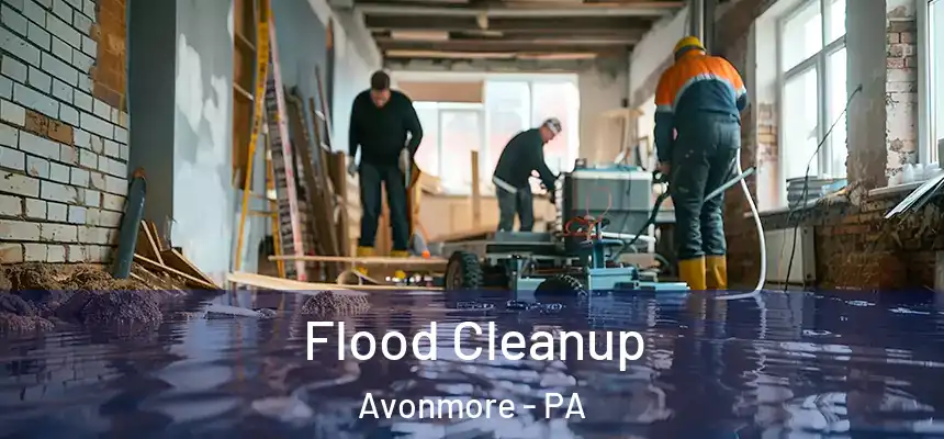  Flood Cleanup Avonmore - PA