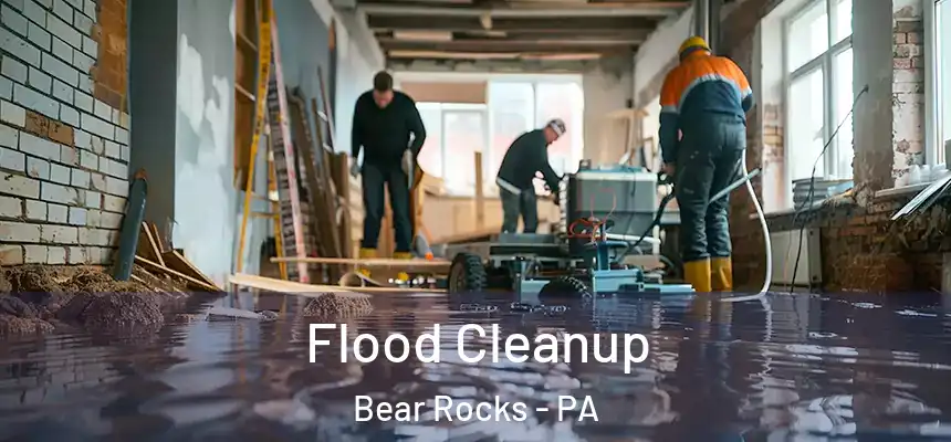 Flood Cleanup Bear Rocks - PA