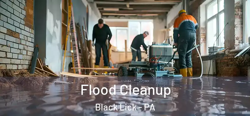 Flood Cleanup Black Lick - PA