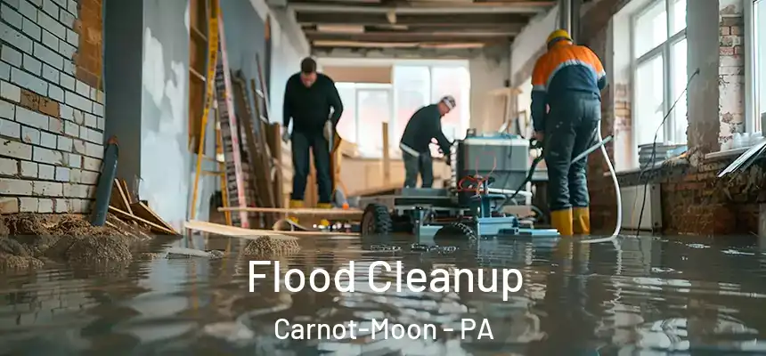  Flood Cleanup Carnot-Moon - PA