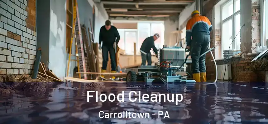  Flood Cleanup Carrolltown - PA