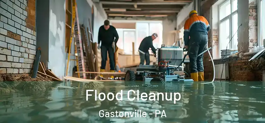  Flood Cleanup Gastonville - PA