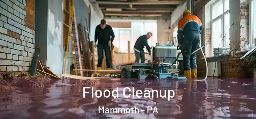  Flood Cleanup Mammoth - PA