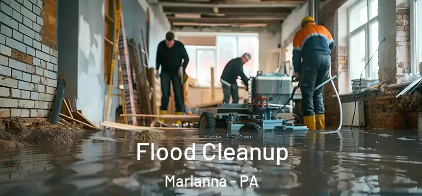  Flood Cleanup Marianna - PA