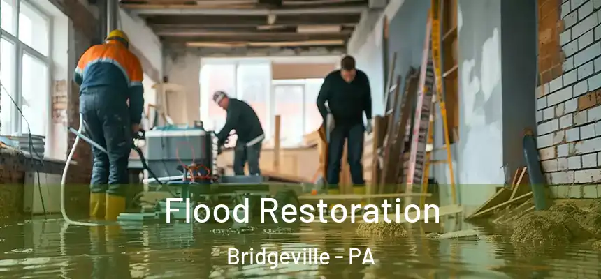 Flood Restoration Bridgeville - PA