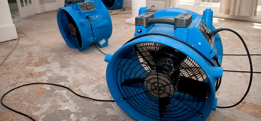 Sewage Removal Services in Bridgeville