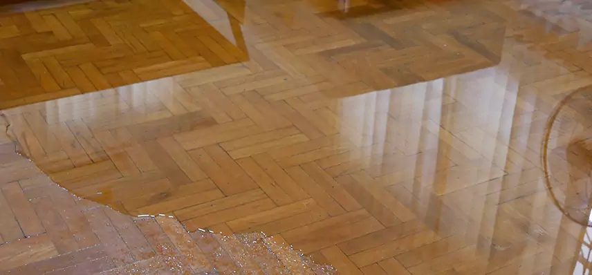 Laminate Wood Floor Water Damage Repair in Bridgeville