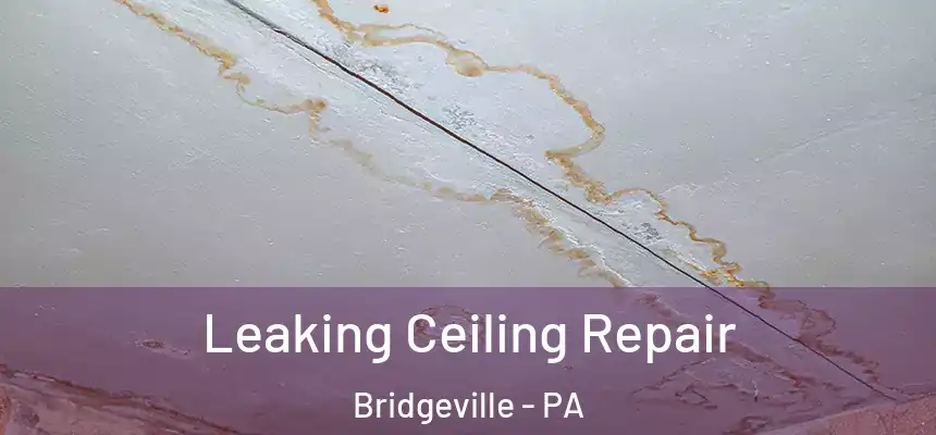  Leaking Ceiling Repair Bridgeville - PA