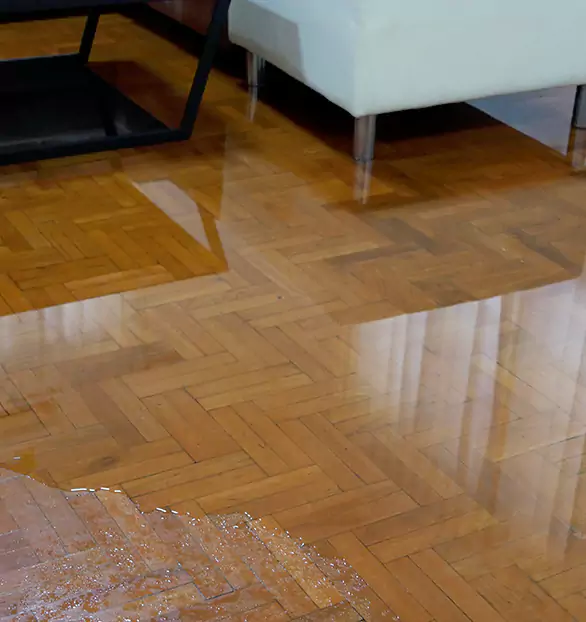 Trusted Emergency Water Restoration Company in Bridgeville, PA