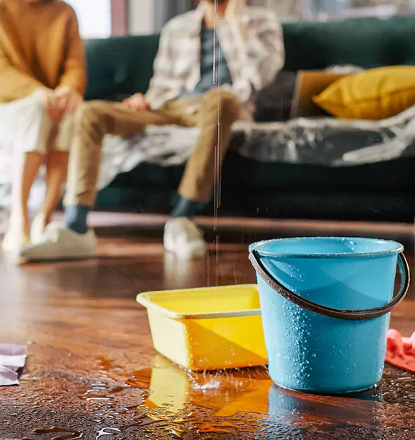 Trusted Water Remediation Company in Bridgeville, PA