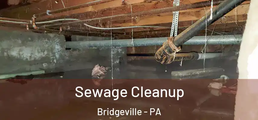  Sewage Cleanup Bridgeville - PA