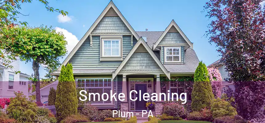 Smoke Cleaning Plum - PA