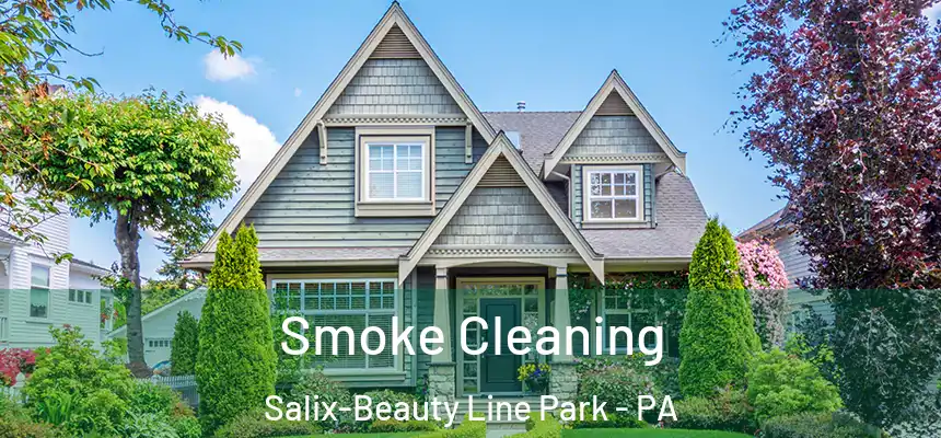 Smoke Cleaning Salix-Beauty Line Park - PA