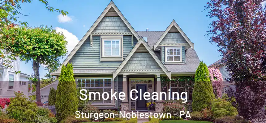  Smoke Cleaning Sturgeon-Noblestown - PA