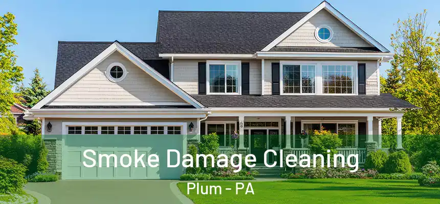  Smoke Damage Cleaning Plum - PA