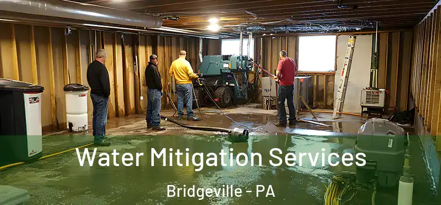  Water Mitigation Services Bridgeville - PA
