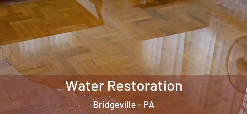 Water Restoration Bridgeville - PA